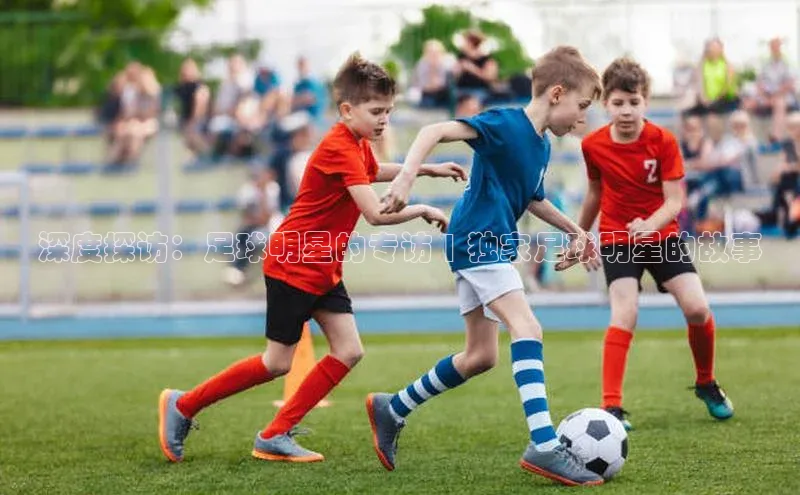 谈球吧体育官网百度集团深度探访：足球明星的专访 | 独家足球明星的故事