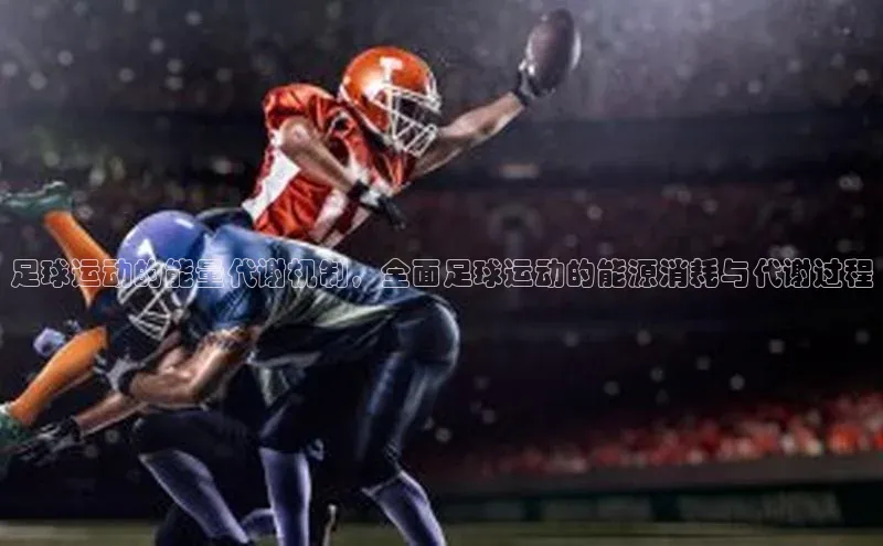 谈球吧官网app宇信科技足球运动的能量代谢机制，全面足球运动的能源消耗与代谢过程