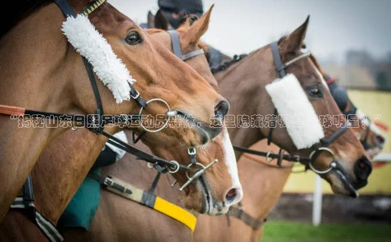 谈球吧网页版度小满理财“揭秘山东日照足球运动员群体，这里隐藏着哪些足球明星？”