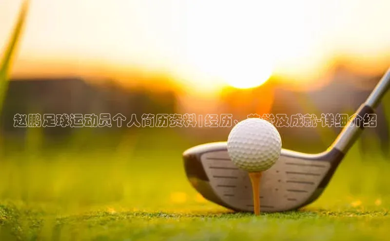 谈球吧体育app荣信文化赵鹏足球运动员个人简历资料|经历、荣誉及成就-详细介绍