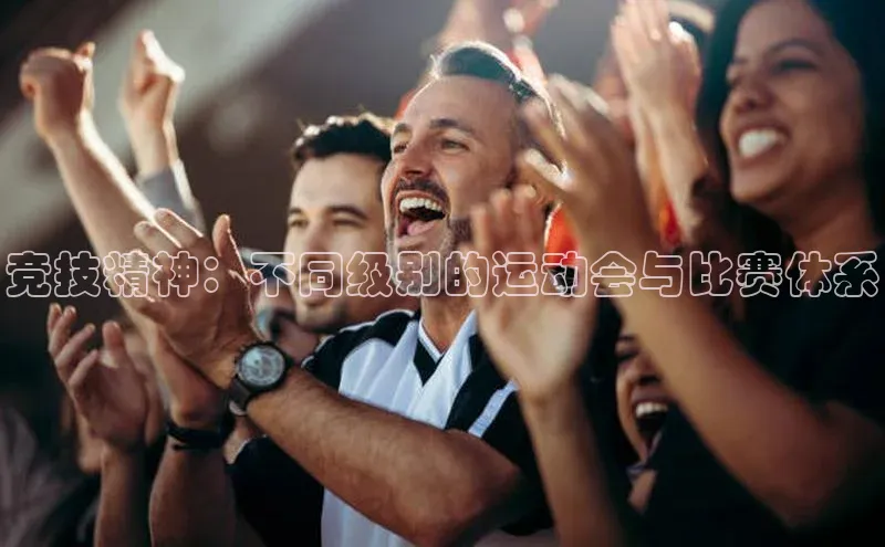 谈球吧下载路畅科技竞技精神：不同级别的运动会与比赛体系