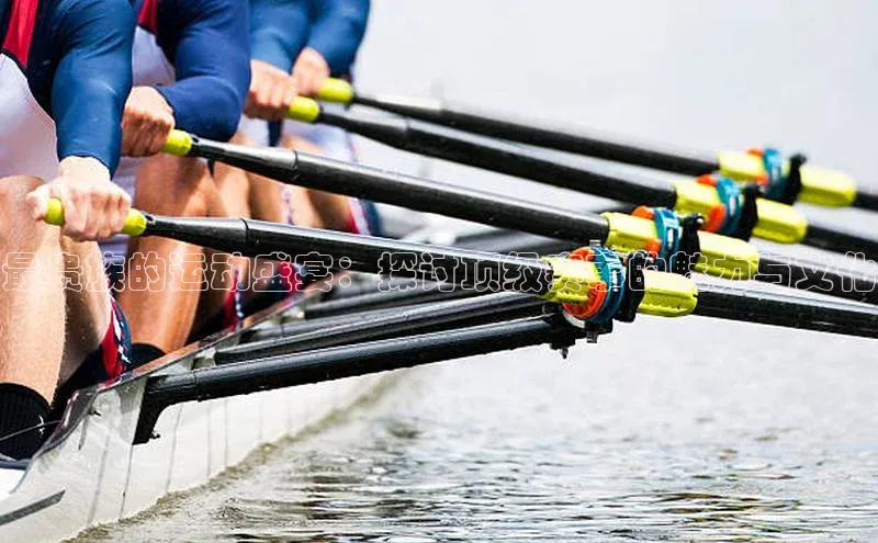 最贵族的运动盛宴：探讨顶级赛事的魅力与文化