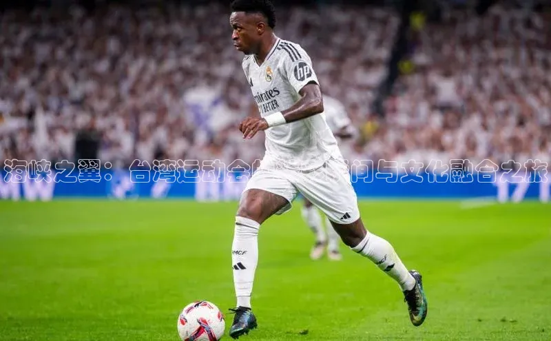 海峡之翼：台湾运动会的精彩瞬间与文化融合之旅