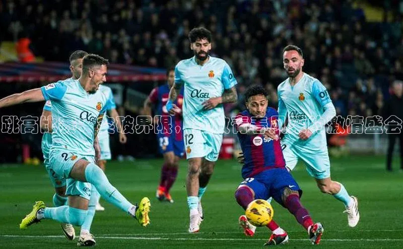 跳高比赛：突破界限，绽放青春风采的激情盛会