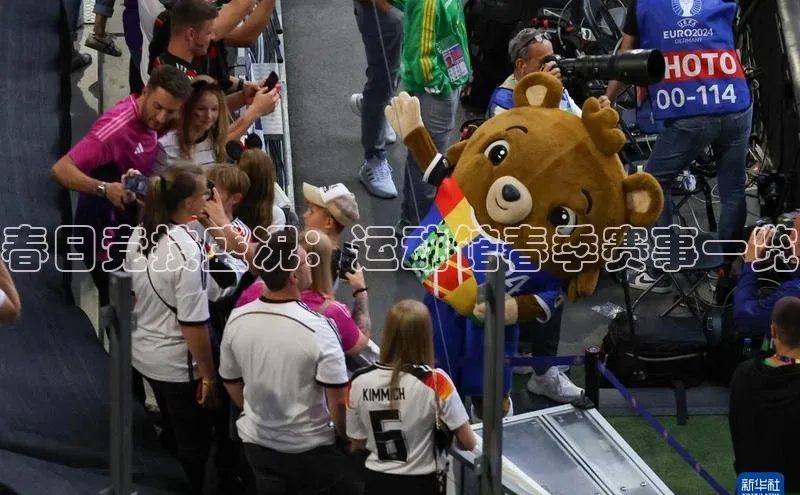 春日竞技盛况：运动馆春季赛事一览