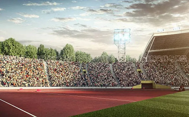超越极限：西安的运动赛事公司推动健康生活方式的创新实践与展望