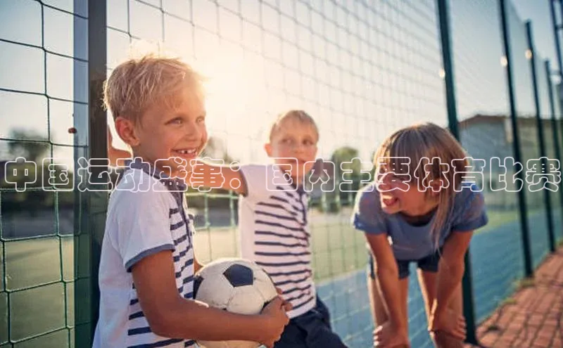 中国运动盛事：国内主要体育比赛