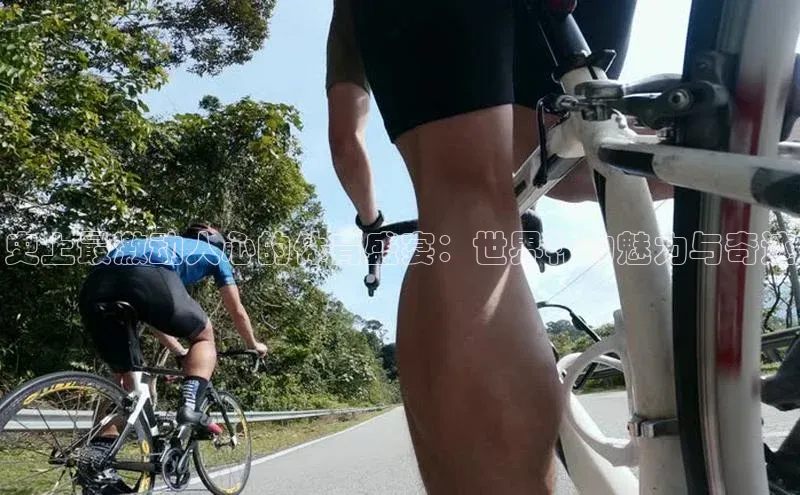 史上最激动人心的体育盛宴：世界杯的魅力与奇迹