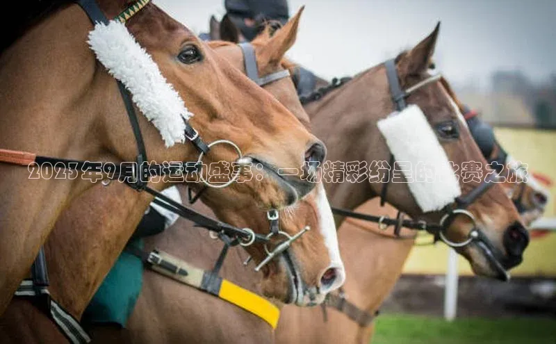 2023年9月的运动盛事：一场精彩纷呈的比赛之旅