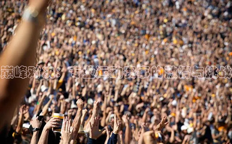 巅峰对决：专业运动赛事的激情与挑战