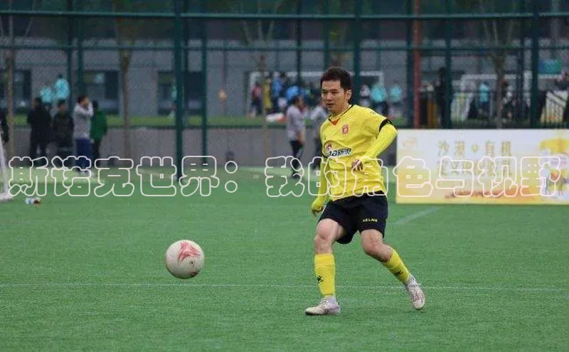 斯诺克世界：我的角色与视野