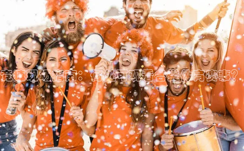 竞速现场指南：何处可观看各类体育赛事？