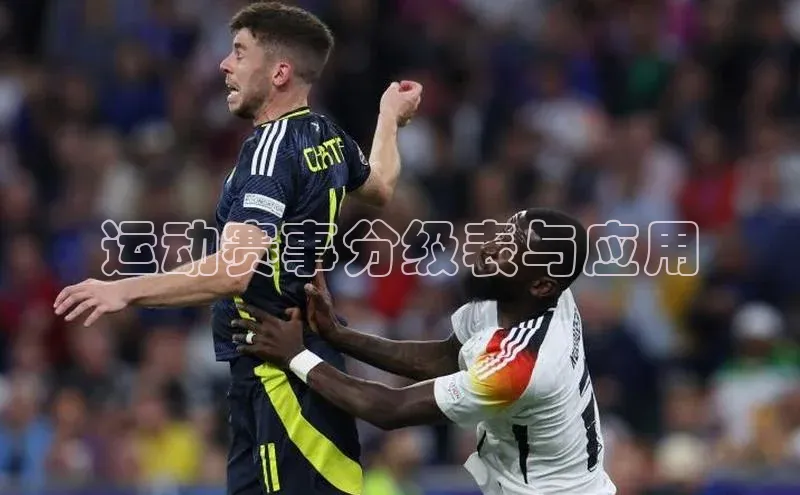 运动赛事分级表与应用