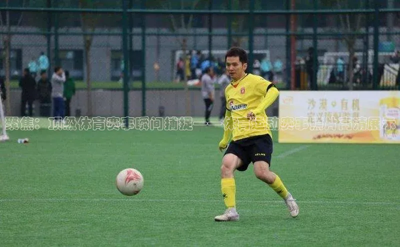 聚焦：顶级体育赛事瞬间捕捉——体育运动赛事照片高清展示