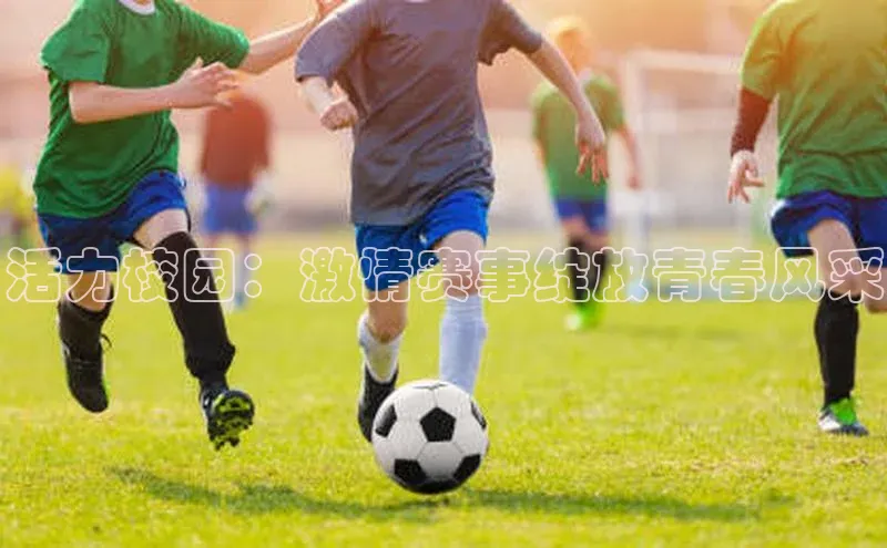 活力校园：激情赛事绽放青春风采