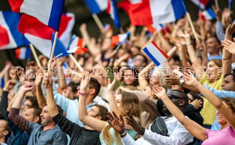 飞跃与激情：2023年度热门运动赛事